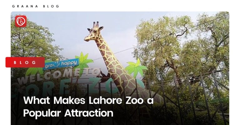 a visit to lahore zoo essay